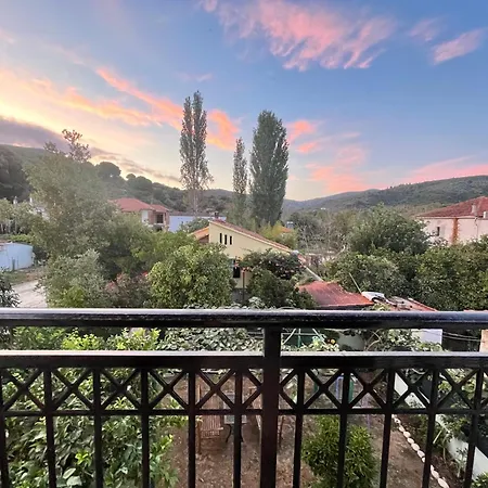 Delfinia Πλατανιάς